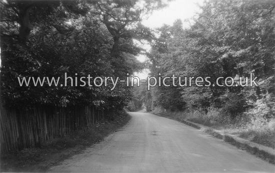 Low Way, Wivenhoe, Essex. c.1920's